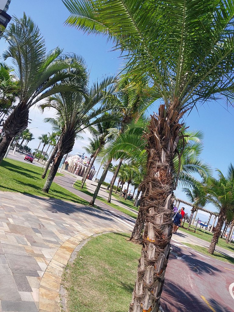Apto Familiar Frente Mar!